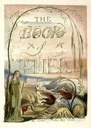Illustrazione estratta dalla pagina di fronte a 33 di William Blake, pittore e poeta di Richard Garnett Editore: Londra, Seeley. L